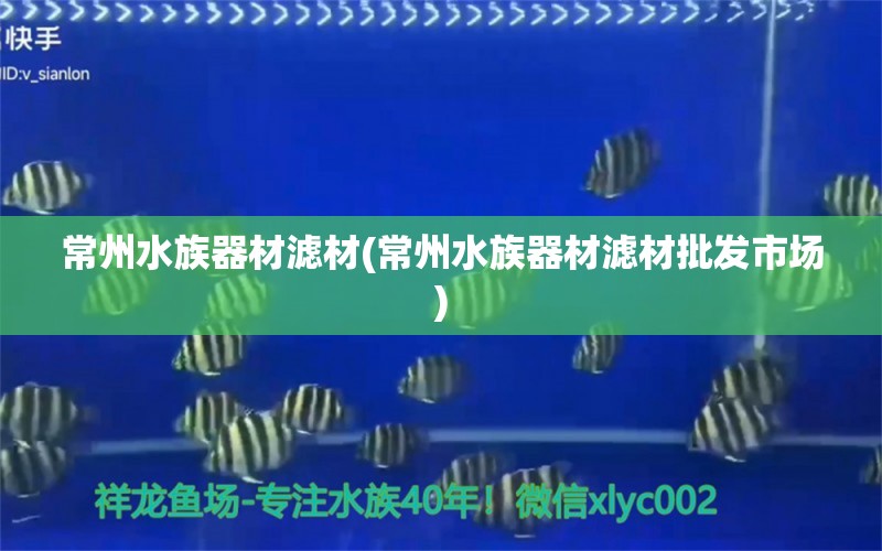 常州水族器材滤材(常州水族器材滤材批发市场)