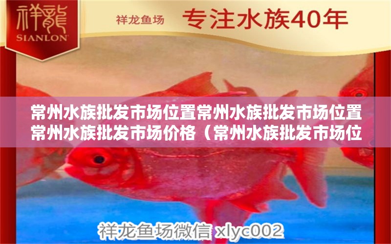 常州水族批发市场位置常州水族批发市场位置常州水族批发市场价格（常州水族批发市场位置）