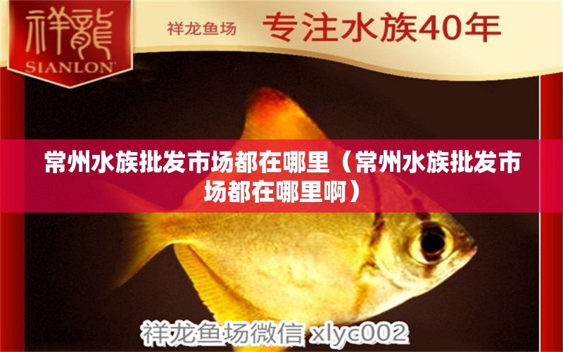 常州水族批发市场都在哪里（常州水族批发市场都在哪里啊）