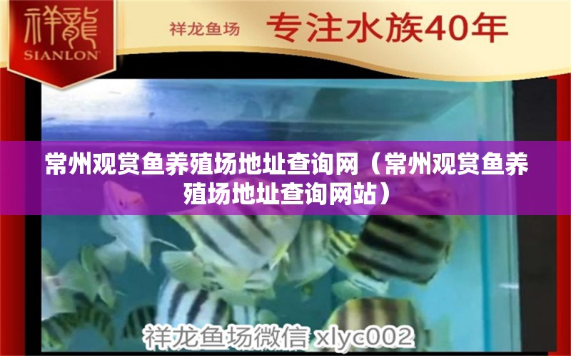 常州观赏鱼养殖场地址查询网（常州观赏鱼养殖场地址查询网站）