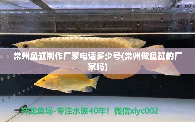 常州鱼缸制作厂家电话多少号(常州做鱼缸的厂家吗)