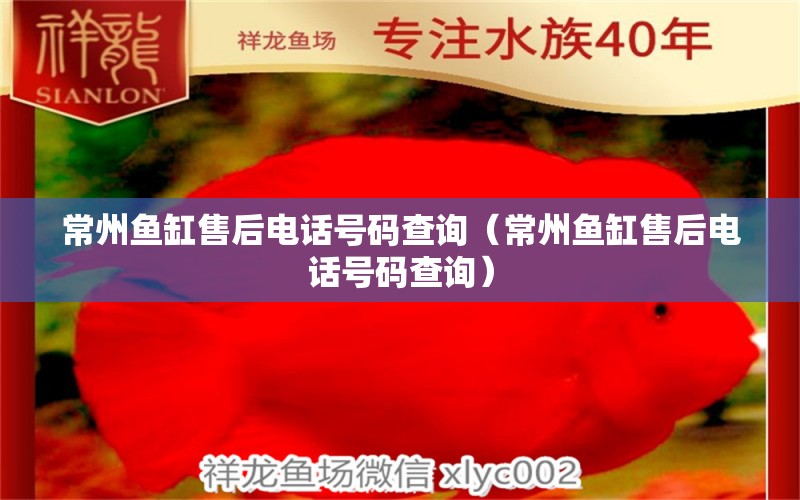 常州鱼缸售后电话号码查询（常州鱼缸售后电话号码查询） 蓝底过背金龙鱼