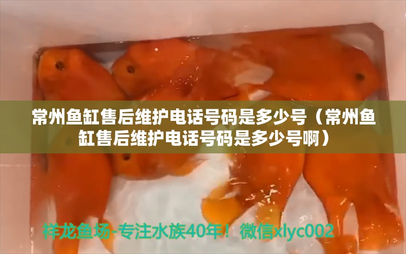 常州鱼缸售后维护电话号码是多少号（常州鱼缸售后维护电话号码是多少号啊）