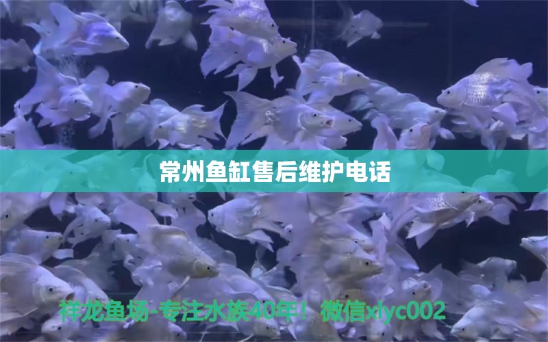 常州鱼缸售后维护电话 其他品牌鱼缸