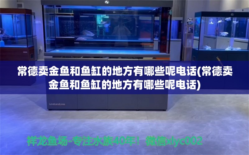 常德卖金鱼和鱼缸的地方有哪些呢电话(常德卖金鱼和鱼缸的地方有哪些呢电话)