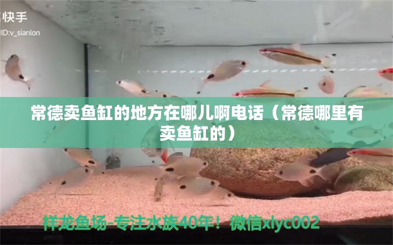 常德卖鱼缸的地方在哪儿啊电话（常德哪里有卖鱼缸的） 广州观赏鱼批发市场