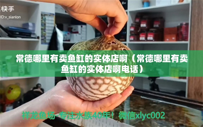 常德哪里有卖鱼缸的实体店啊（常德哪里有卖鱼缸的实体店啊电话）