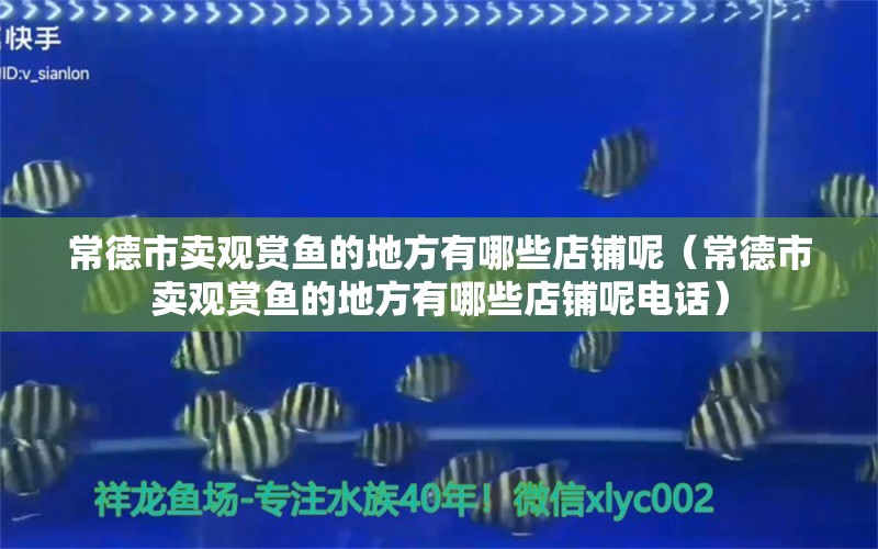 常德市卖观赏鱼的地方有哪些店铺呢（常德市卖观赏鱼的地方有哪些店铺呢电话） 观赏鱼市场（混养鱼）