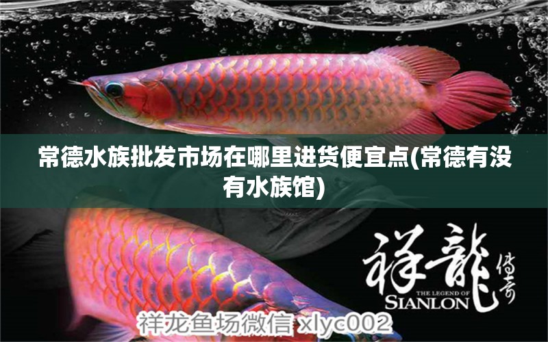 常德水族批发市场在哪里进货便宜点(常德有没有水族馆) 观赏鱼水族批发市场