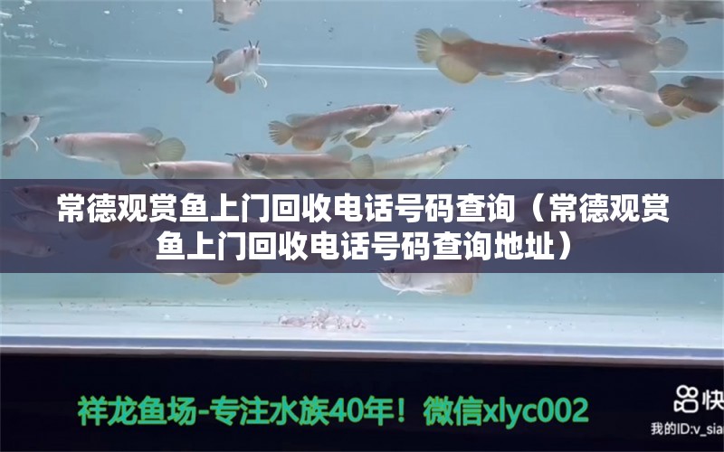 常德观赏鱼上门回收电话号码查询（常德观赏鱼上门回收电话号码查询地址） 观赏鱼市场（混养鱼）