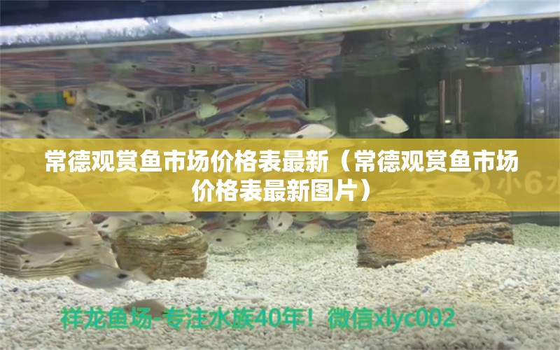 常德观赏鱼市场价格表最新（常德观赏鱼市场价格表最新图片） 观赏鱼市场（混养鱼）