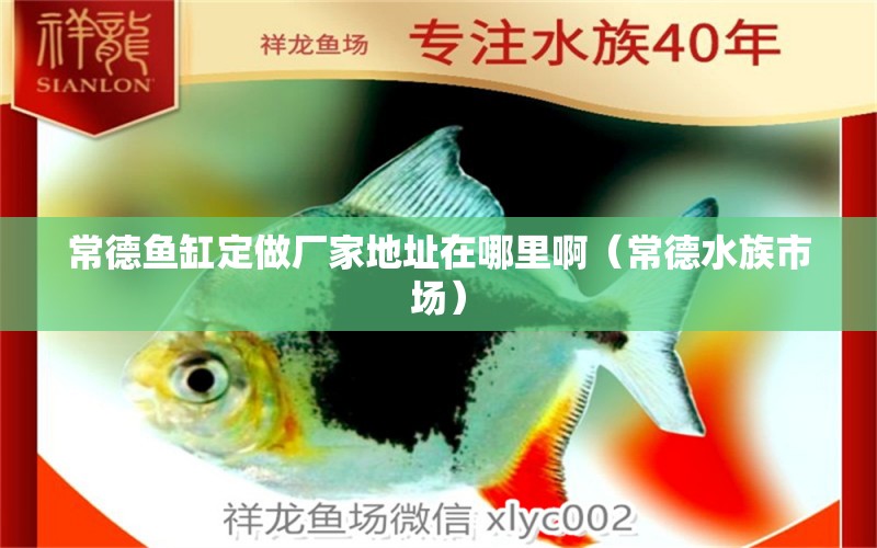 常德鱼缸定做厂家地址在哪里啊（常德水族市场） 观赏鱼市场（混养鱼）