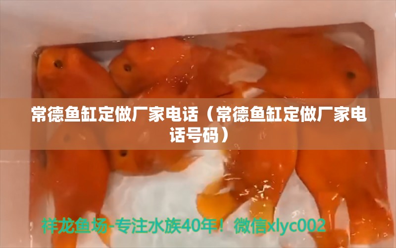 常德鱼缸定做厂家电话（常德鱼缸定做厂家电话号码）