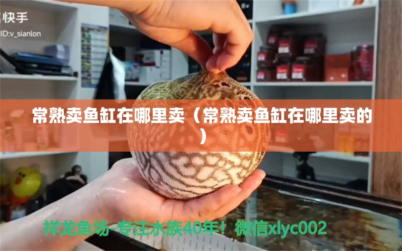 常熟卖鱼缸在哪里卖（常熟卖鱼缸在哪里卖的）