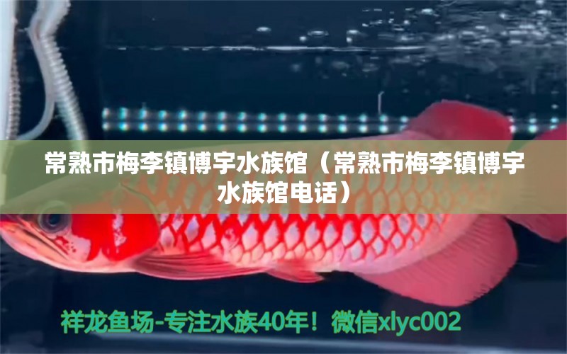 常熟市梅李镇博宇水族馆（常熟市梅李镇博宇水族馆电话）