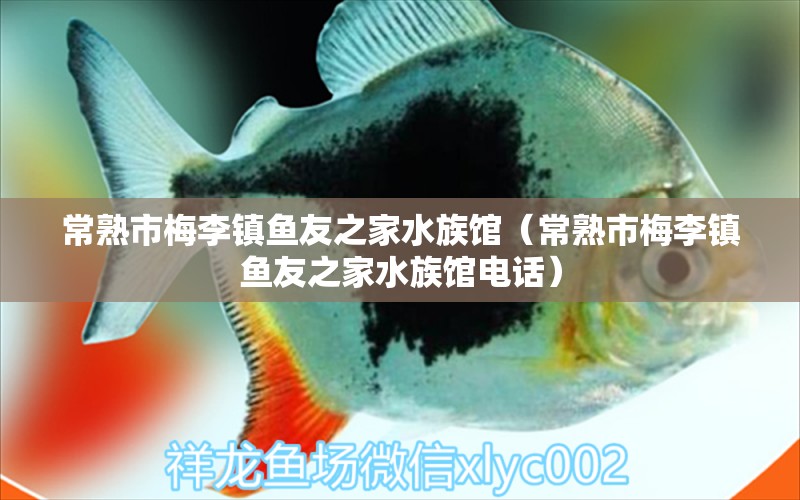 常熟市梅李镇鱼友之家水族馆（常熟市梅李镇鱼友之家水族馆电话）