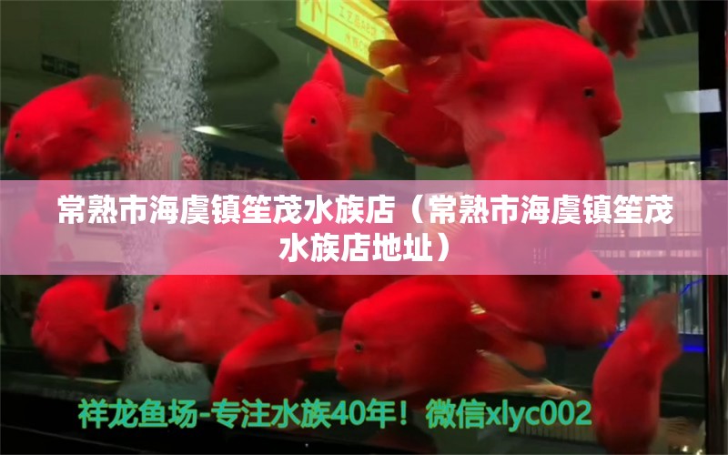 常熟市海虞镇笙茂水族店（常熟市海虞镇笙茂水族店地址）