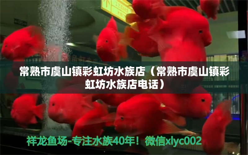 常熟市虞山镇彩虹坊水族店（常熟市虞山镇彩虹坊水族店电话）