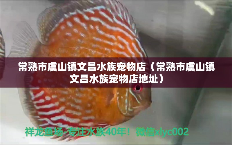 常熟市虞山镇文昌水族宠物店（常熟市虞山镇文昌水族宠物店地址）