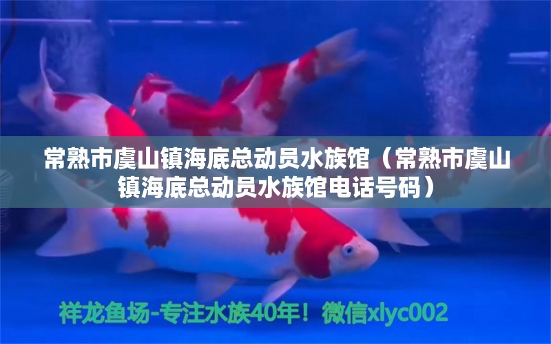 常熟市虞山镇海底总动员水族馆（常熟市虞山镇海底总动员水族馆电话号码）