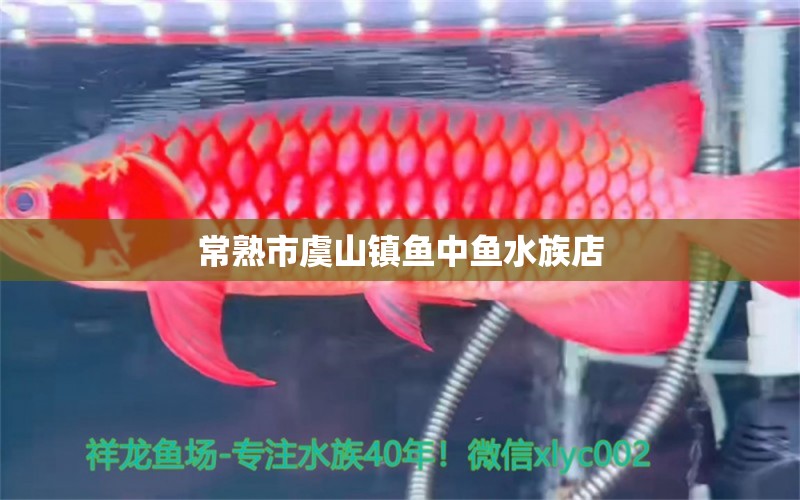 常熟市虞山镇鱼中鱼水族店