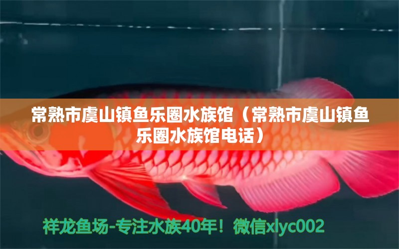 常熟市虞山镇鱼乐圈水族馆（常熟市虞山镇鱼乐圈水族馆电话）