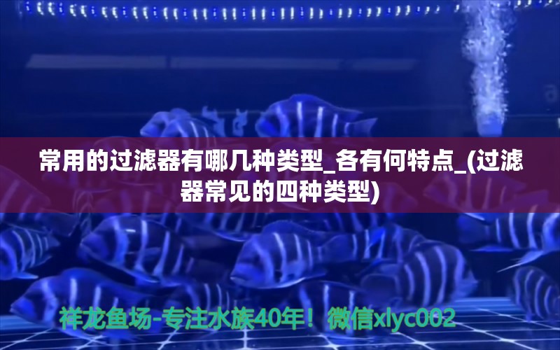 常用的过滤器有哪几种类型_各有何特点_(过滤器常见的四种类型) 鱼缸风水