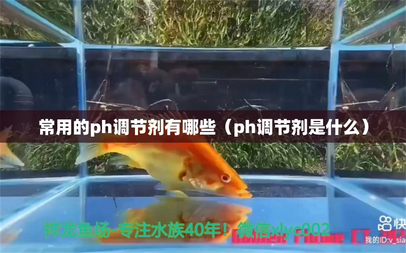 常用的ph调节剂有哪些（ph调节剂是什么） 黄金河虎鱼