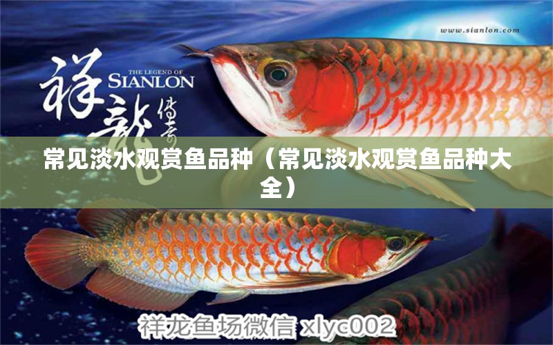 常见淡水观赏鱼品种（常见淡水观赏鱼品种大全） 祥龙水族医院