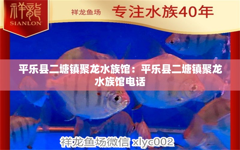 平乐县二塘镇聚龙水族馆：平乐县二塘镇聚龙水族馆电话