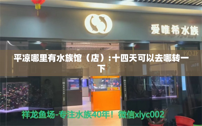 平凉哪里有水族馆（店）:十四天可以去哪转一下 观赏鱼水族批发市场