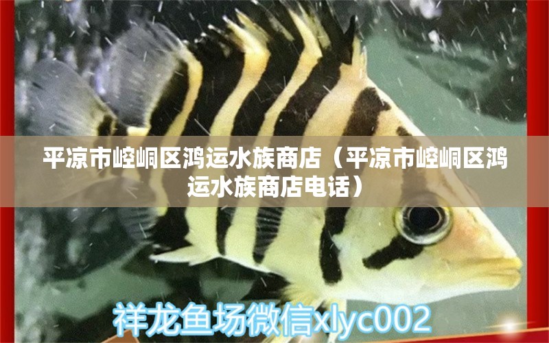 平凉市崆峒区鸿运水族商店（平凉市崆峒区鸿运水族商店电话） 全国水族馆企业名录