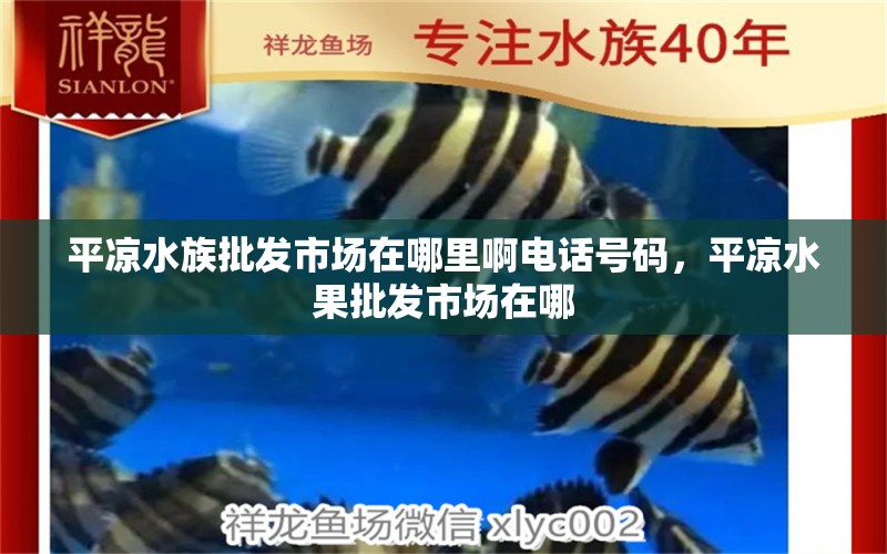 平凉水族批发市场在哪里啊电话号码，平凉水果批发市场在哪