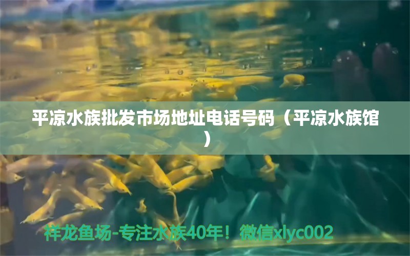 平凉水族批发市场地址电话号码（平凉水族馆）