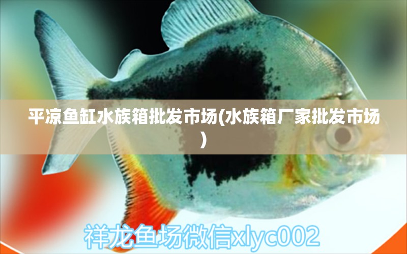 平凉鱼缸水族箱批发市场(水族箱厂家批发市场) 鱼缸/水族箱