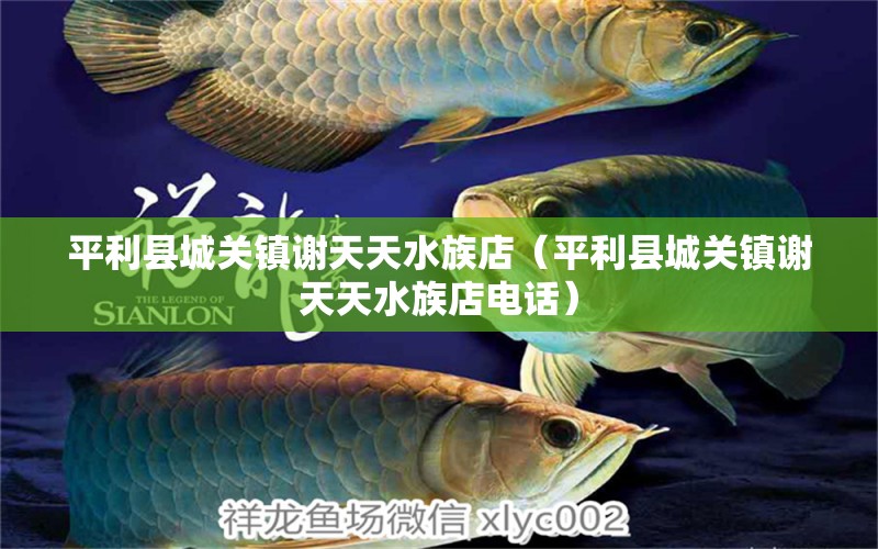 平利县城关镇谢天天水族店（平利县城关镇谢天天水族店电话）