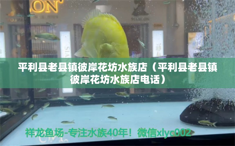 平利县老县镇彼岸花坊水族店（平利县老县镇彼岸花坊水族店电话）