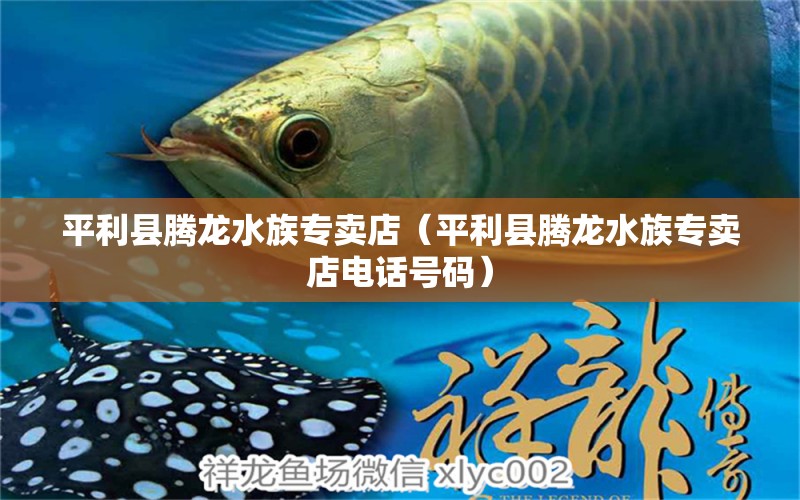 平利县腾龙水族专卖店（平利县腾龙水族专卖店电话号码） 全国水族馆企业名录