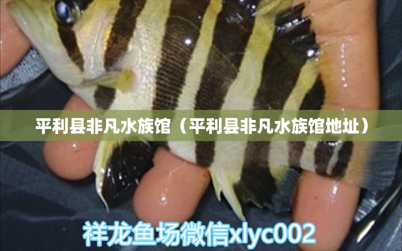 平利县非凡水族馆（平利县非凡水族馆地址） 全国水族馆企业名录