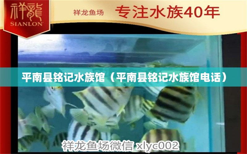 平南县铭记水族馆（平南县铭记水族馆电话）