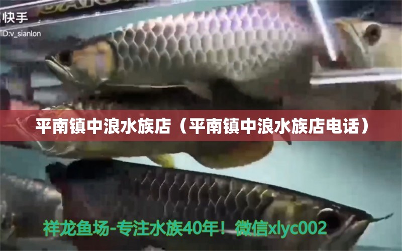 平南镇中浪水族店（平南镇中浪水族店电话） 全国水族馆企业名录