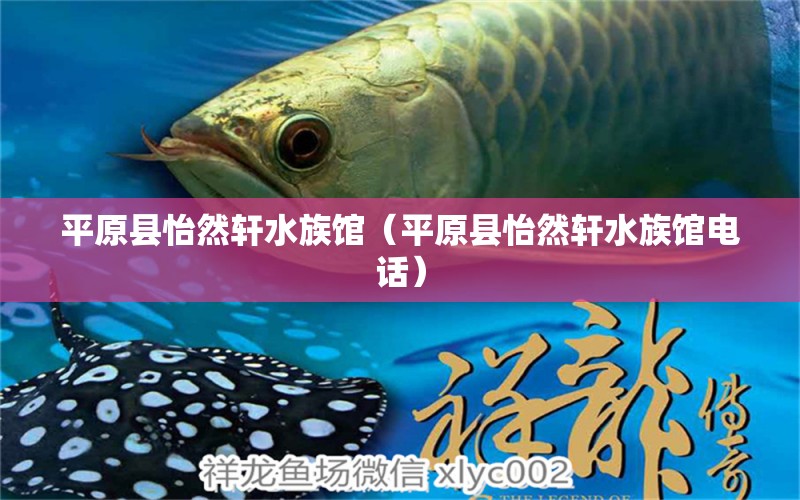 平原县怡然轩水族馆（平原县怡然轩水族馆电话） 全国水族馆企业名录