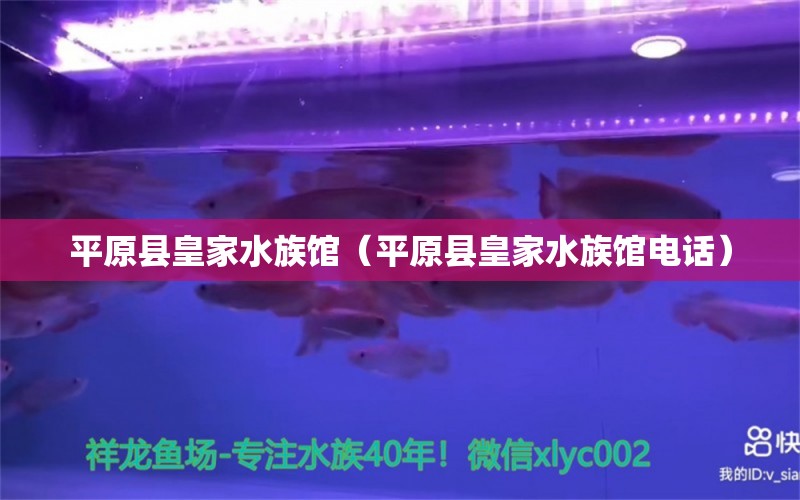 平原县皇家水族馆（平原县皇家水族馆电话） 全国水族馆企业名录