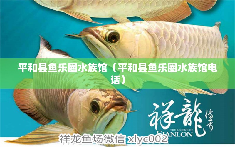 平和县鱼乐圈水族馆（平和县鱼乐圈水族馆电话） 全国水族馆企业名录