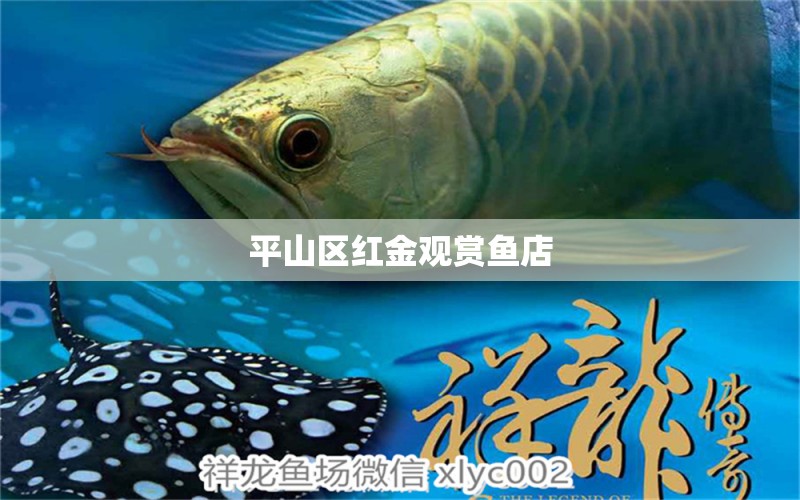 平山区红金观赏鱼店 全国水族馆企业名录