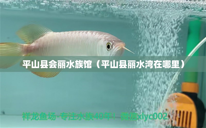 平山县会丽水族馆（平山县丽水湾在哪里）