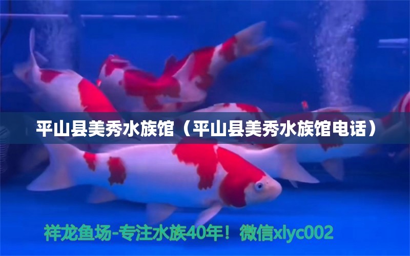 平山县美秀水族馆（平山县美秀水族馆电话）