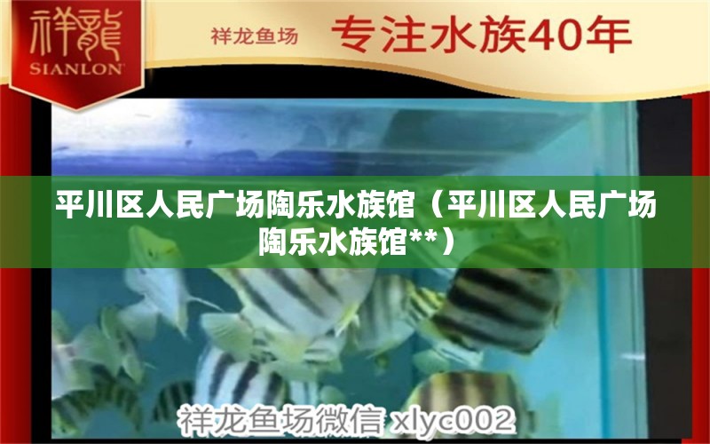 平川区人民广场陶乐水族馆（平川区人民广场陶乐水族馆**） 全国水族馆企业名录