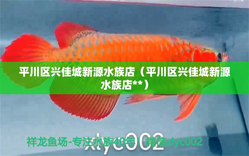 平川区兴佳城新源水族店（平川区兴佳城新源水族店**）