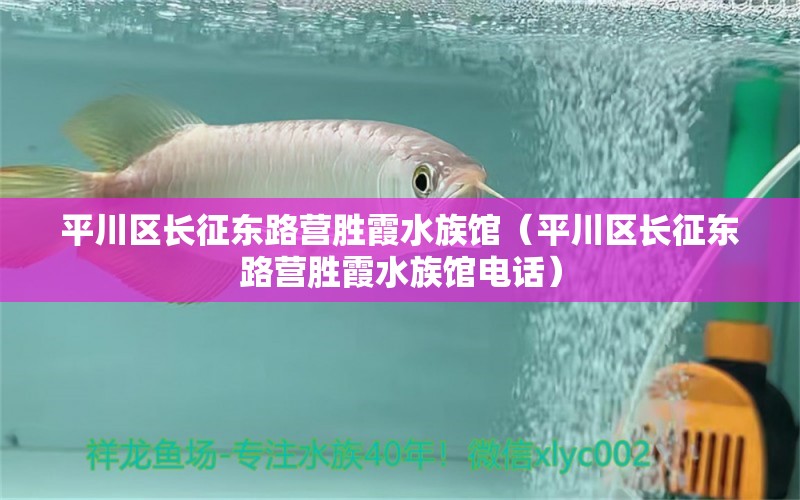 平川区长征东路营胜霞水族馆（平川区长征东路营胜霞水族馆电话）